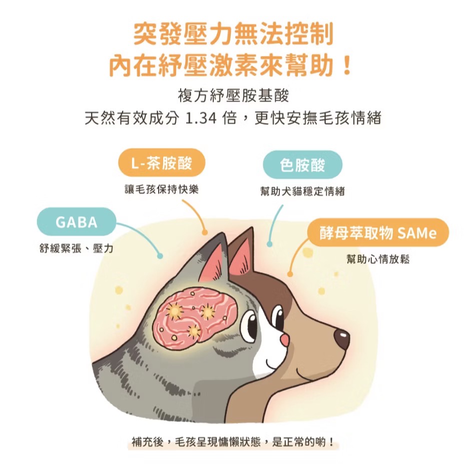 <健康貓> 汪喵星球 紓壓胺基酸 2g×20入｜犬貓紓壓胺基酸 安撫毛孩 舒緩焦慮 雞肉口味 (情緒保健>-細節圖3