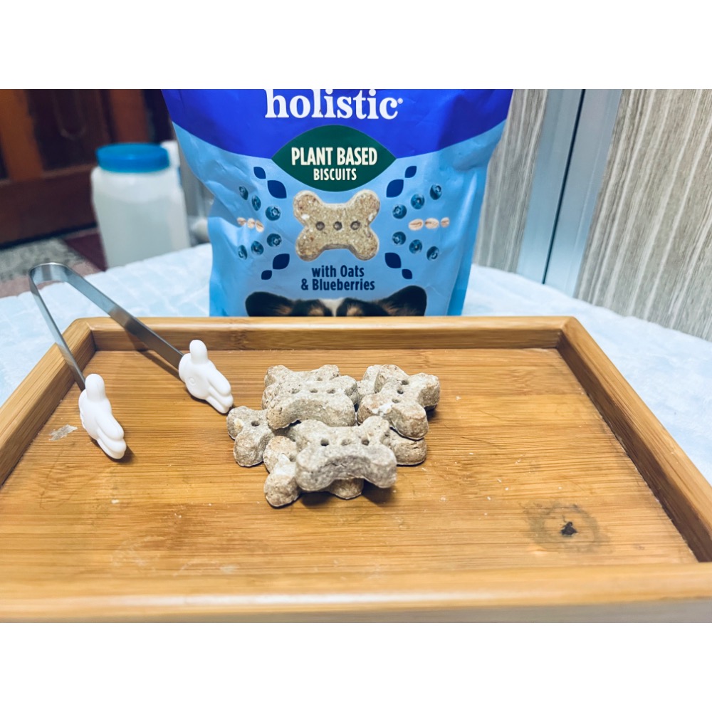 起ㄙ小魚餅/鮭魚小魚餅/干貝小魚餅/益生菌餅乾/小饅頭/藍莓骨頭餅/南瓜骨頭餅-細節圖6