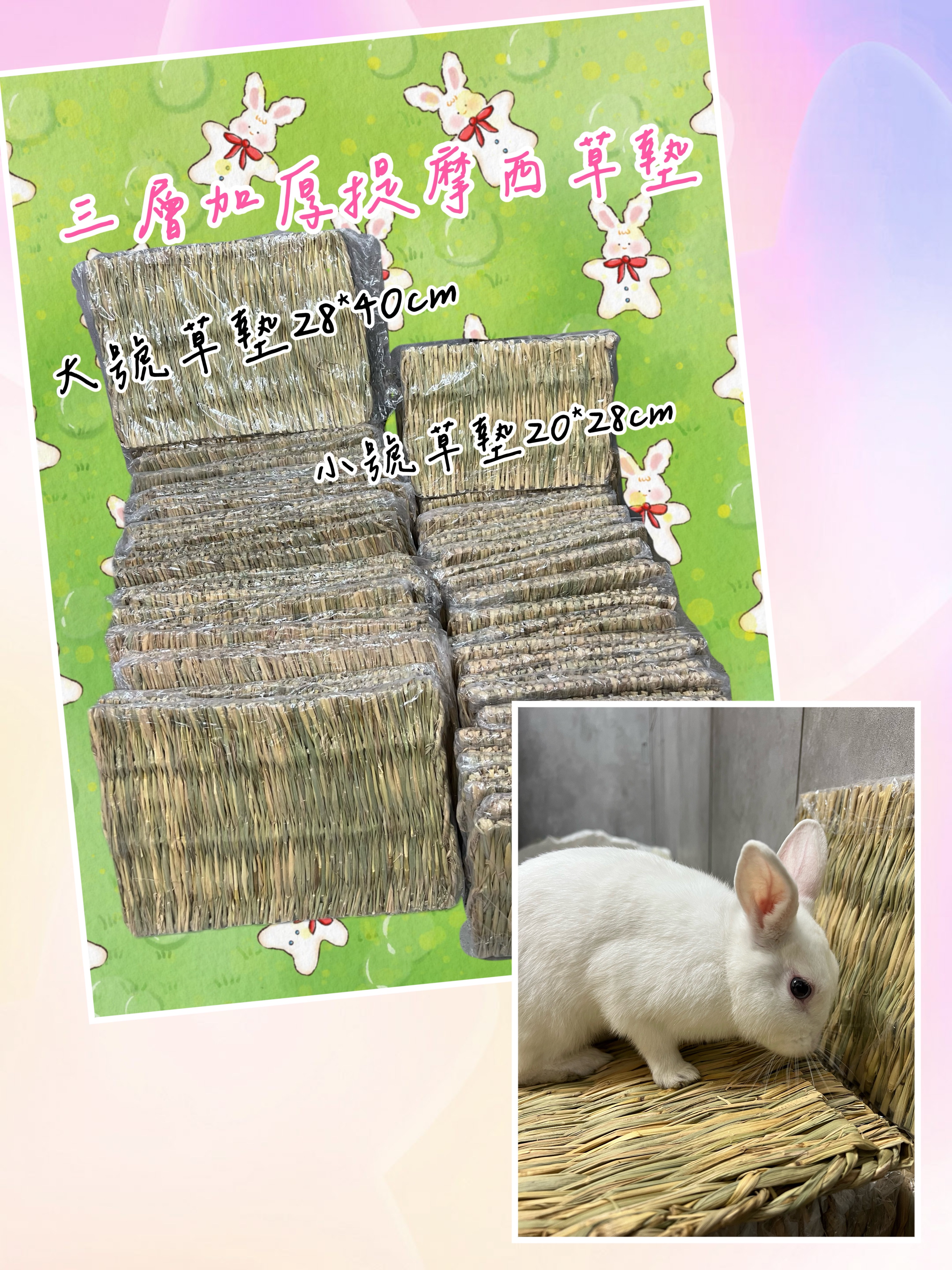 兔子、天竺鼠小寵草製系列-細節圖4