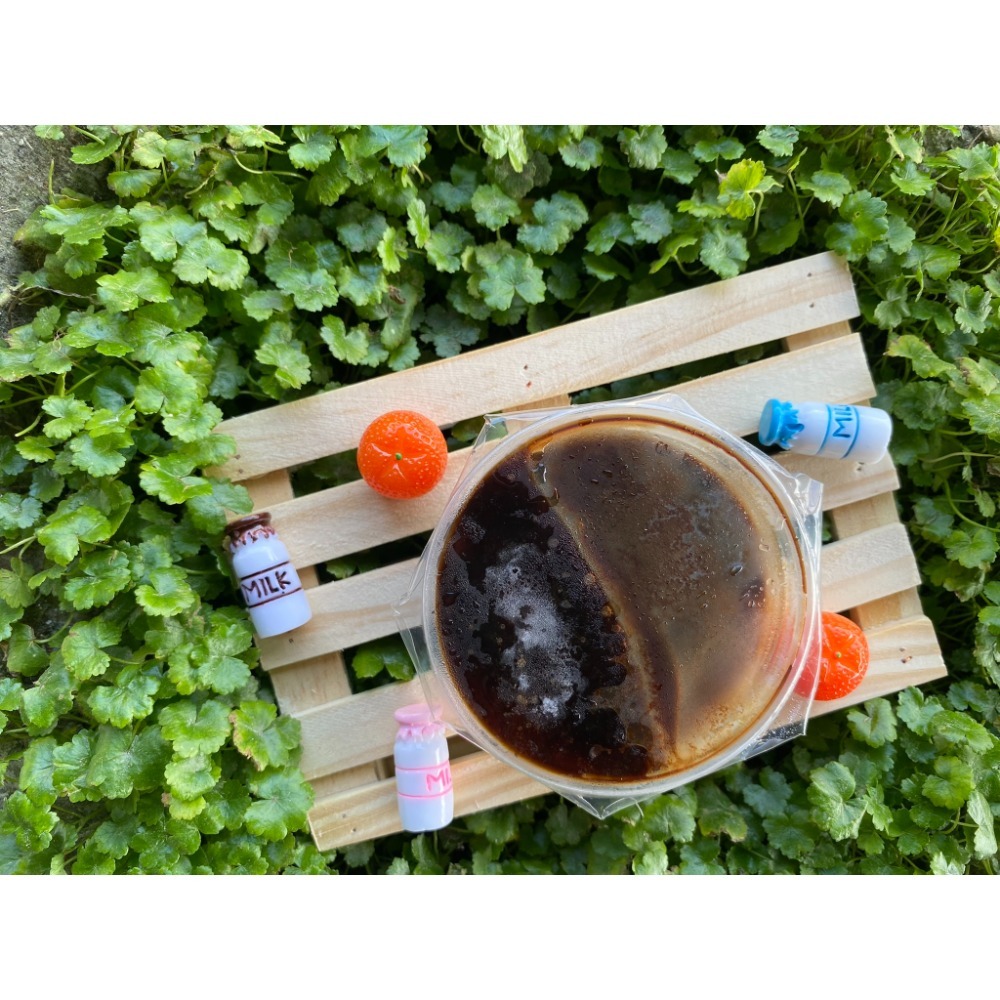 初始配方咖啡冰磚（1盒10顆）-規格圖2