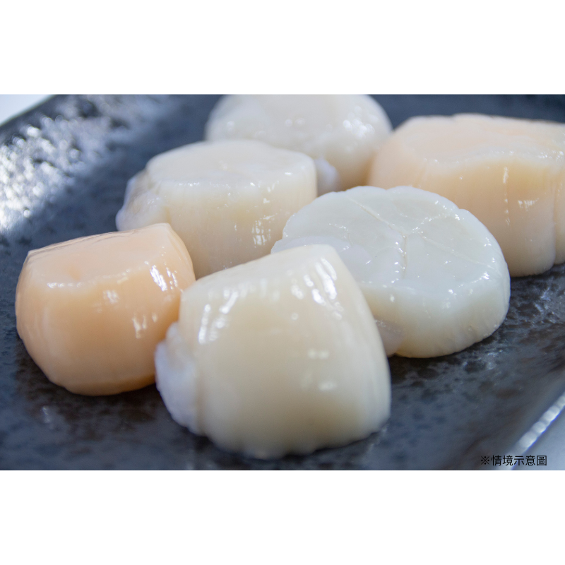 【SAKANA】日本青森生食級生干貝 / 5S / 1公斤 / 鮮嫩 / 解凍即食-細節圖9