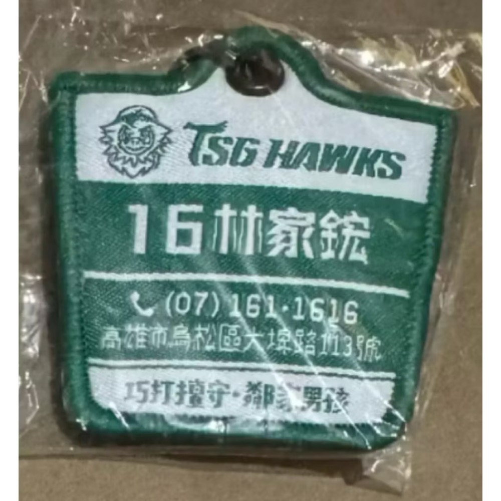 林家鋐 2025台鋼雄鷹 韓式NEWTRO概念照名牌燙布貼組 + 南人祭迷你擋泥板造型鑰匙圈-細節圖2