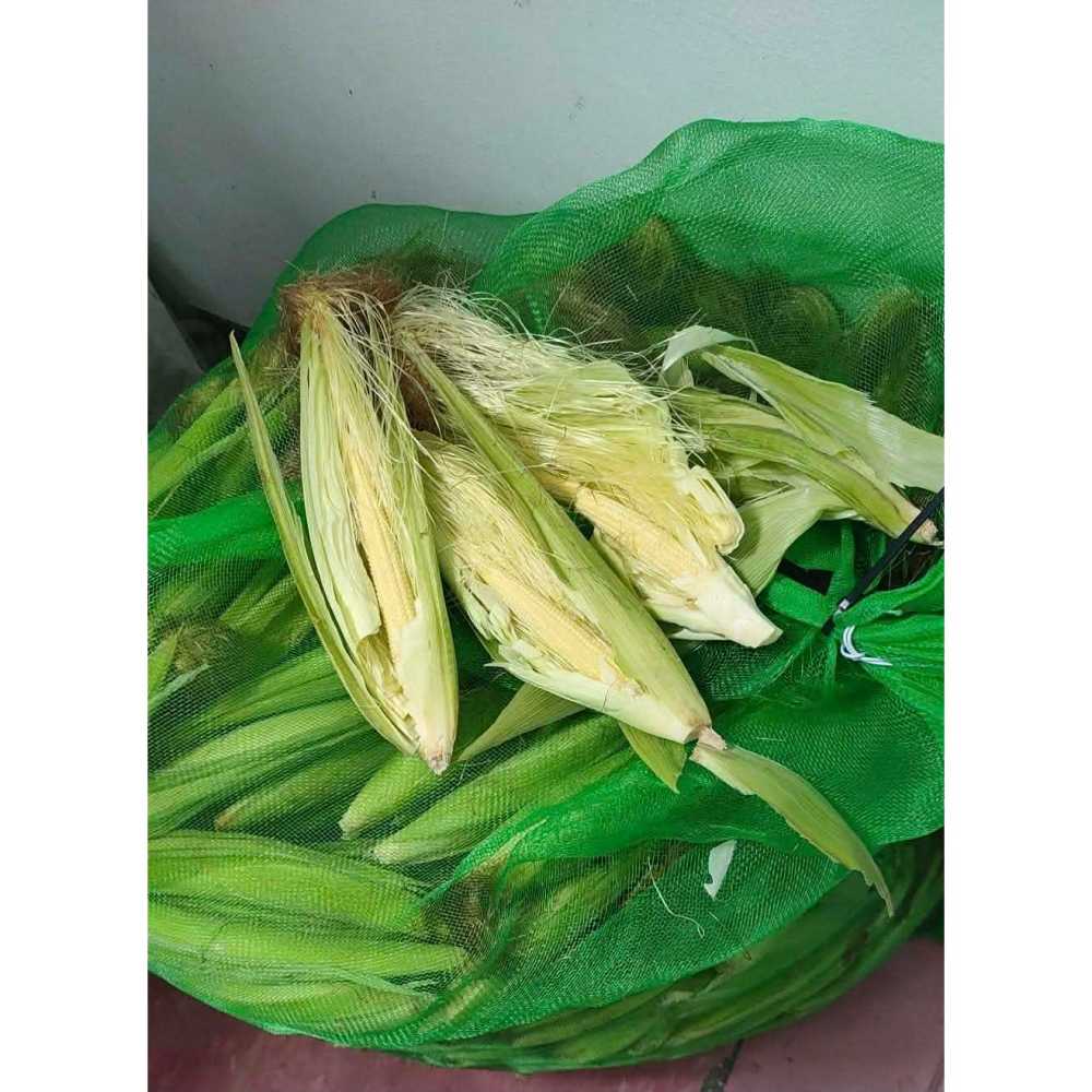 帶殼紅鬚玉米筍-細節圖2