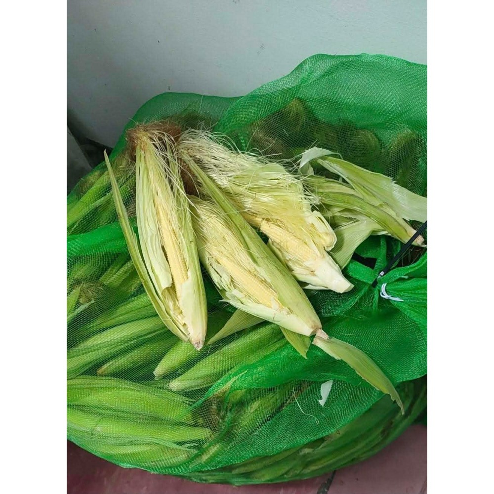 帶殼紅鬚玉米筍-細節圖2