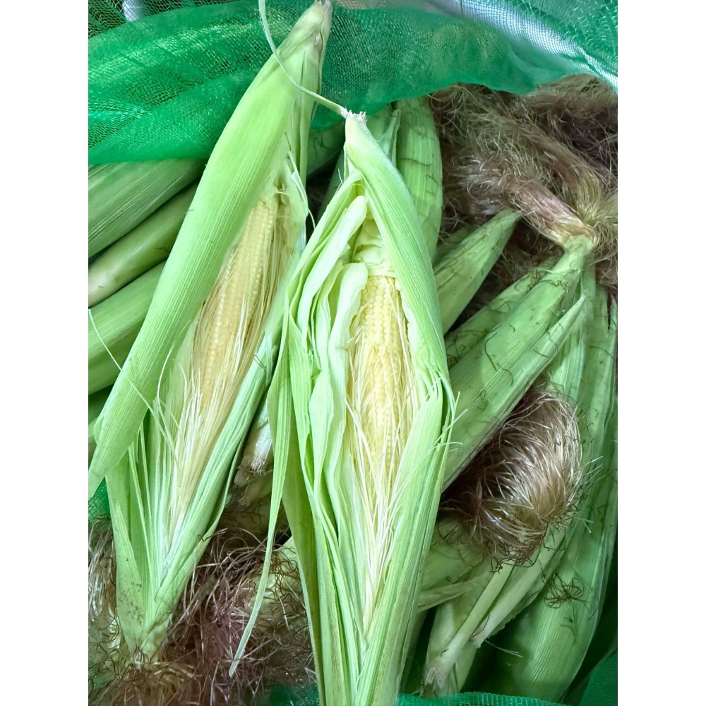 帶殼紅鬚玉米筍-細節圖3