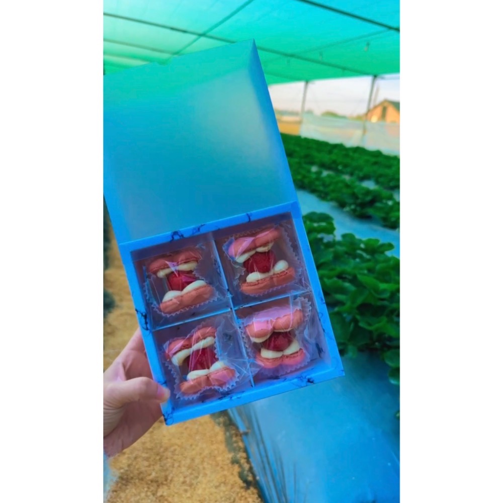 🍓手工草莓馬卡龍｜一盒（4入／6入）｜🧨過年送禮自用兩相宜-規格圖3