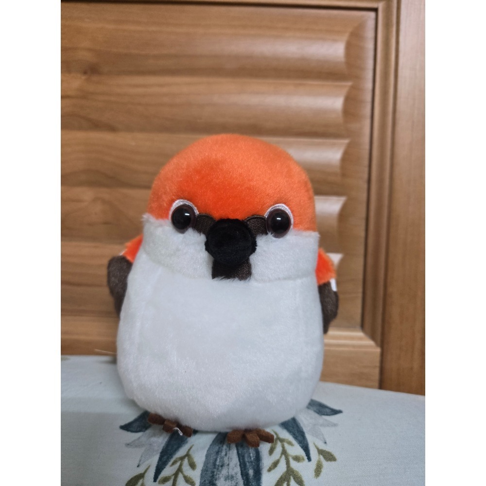 山麻雀 絨毛娃娃-規格圖3