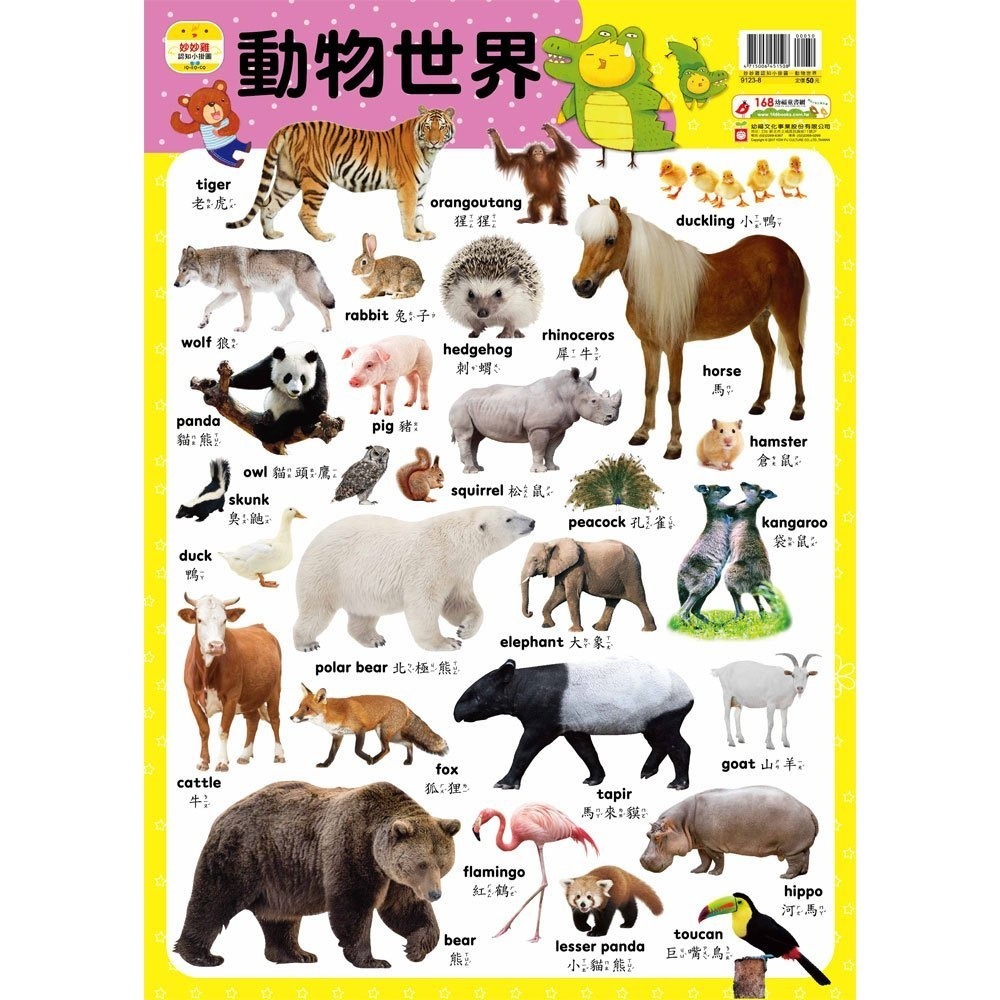 📚幼福文化📚妙妙雞認知小掛圖 交通工具 日常用品 動物 海洋世界 恐龍 圖鑑 幼兒啟蒙-細節圖5