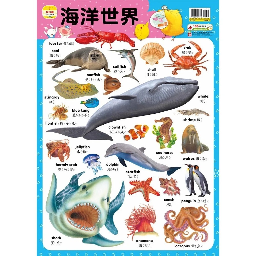 📚幼福文化📚妙妙雞認知小掛圖 交通工具 日常用品 動物 海洋世界 恐龍 圖鑑 幼兒啟蒙-規格圖6