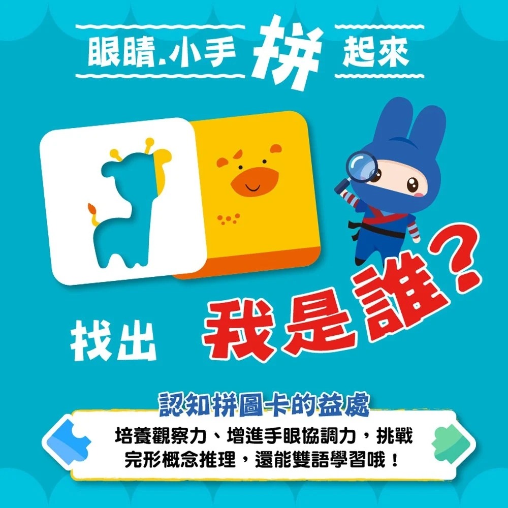 📚幼福文化📚認知拼圖卡：動物找一找 交通工具猜一猜 恐龍點一點 圖卡 字卡 配對圖卡 幼兒啟蒙-細節圖6
