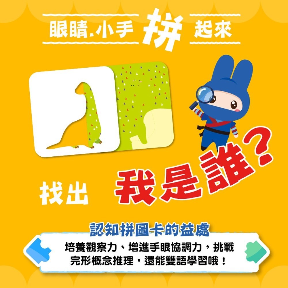 📚幼福文化📚認知拼圖卡：動物找一找 交通工具猜一猜 恐龍點一點 圖卡 字卡 配對圖卡 幼兒啟蒙-細節圖9
