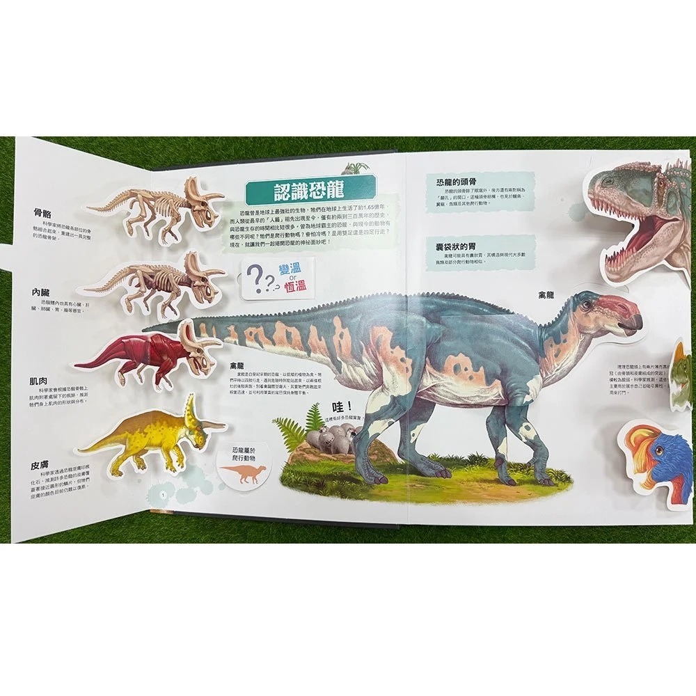 📚幼福文化📚大知識大百科3D立體書：大恐龍 pop-up 翻翻書 遊戲書 生日禮物 圖鑑書-細節圖4