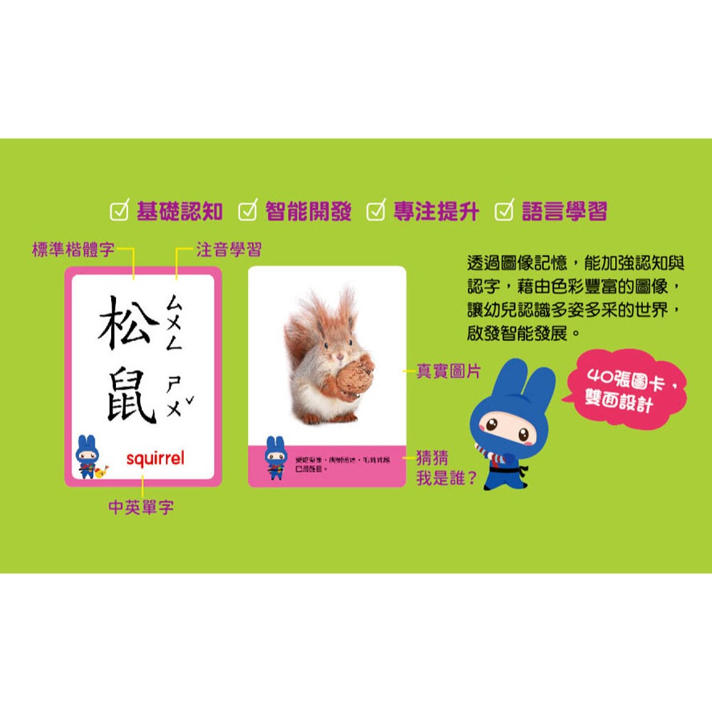 📚幼福文化📚忍者兔認知學習圖卡 7098 數字123 字母ABC 交通工具 動物世界 字卡 圖片卡 幼兒啟蒙-細節圖9