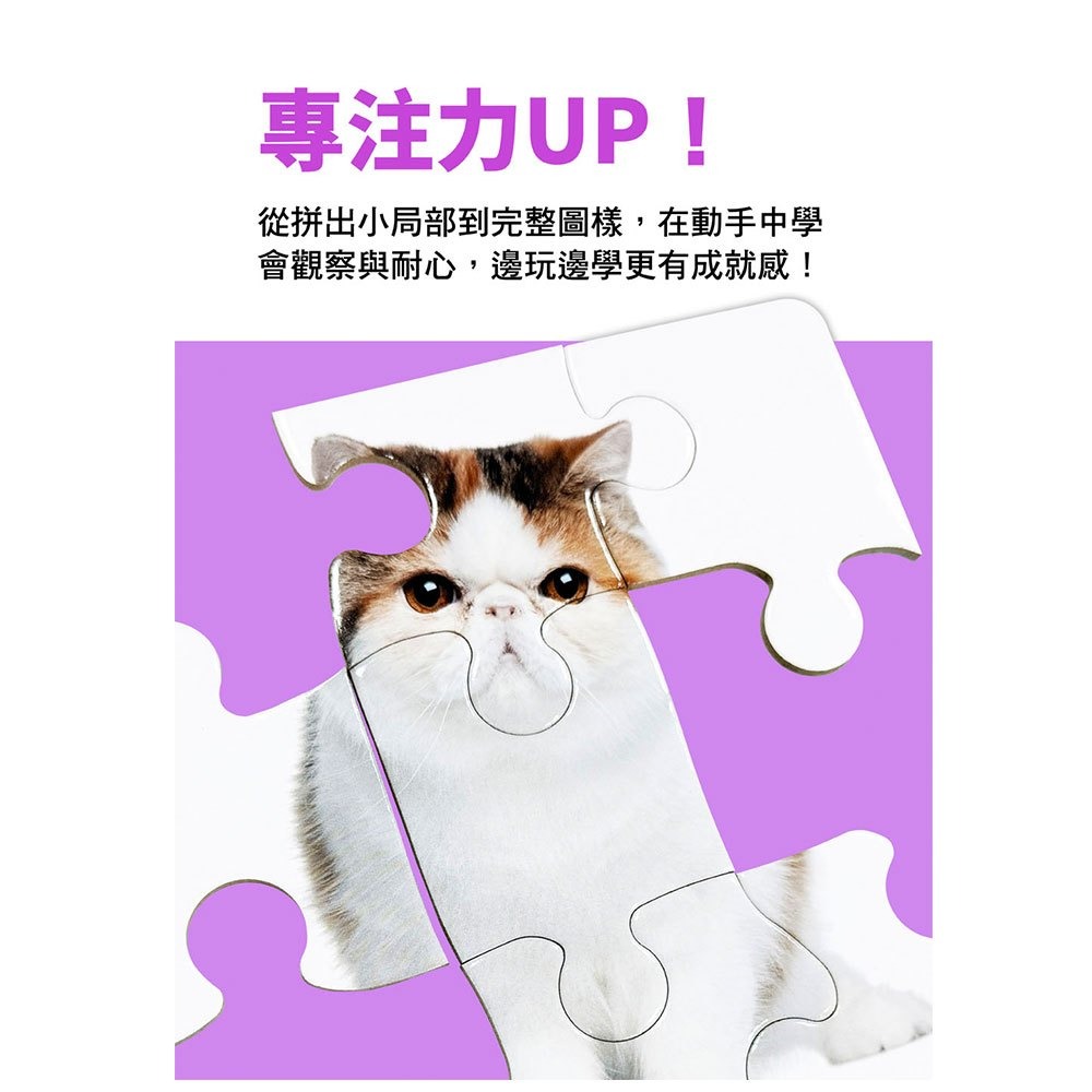 📚幼福文化📚Baby＇s動腦小拼圖 6244 美味水果 可愛動物 交通工具 幼兒拼圖 盒裝拼圖 啟蒙拼圖-細節圖5