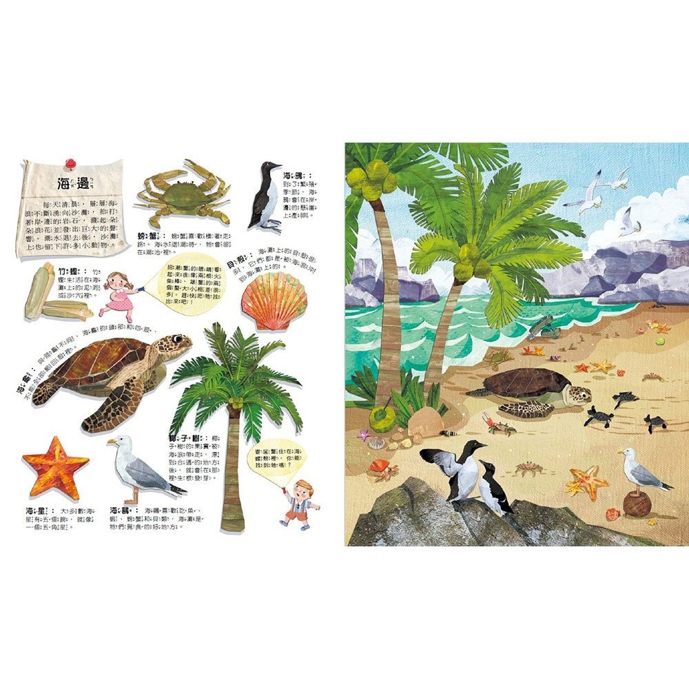 📚幼福文化📚Fun！神奇膠片手電筒：海洋探祕 9207-34 遊戲書 圖鑑書 兒童自然科學 課外讀物 觀察力 想像力-細節圖2