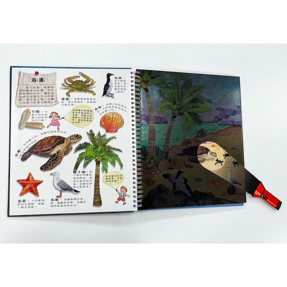 📚幼福文化📚Fun！神奇膠片手電筒：海洋探祕 9207-34 遊戲書 圖鑑書 兒童自然科學 課外讀物 觀察力 想像力-細節圖4