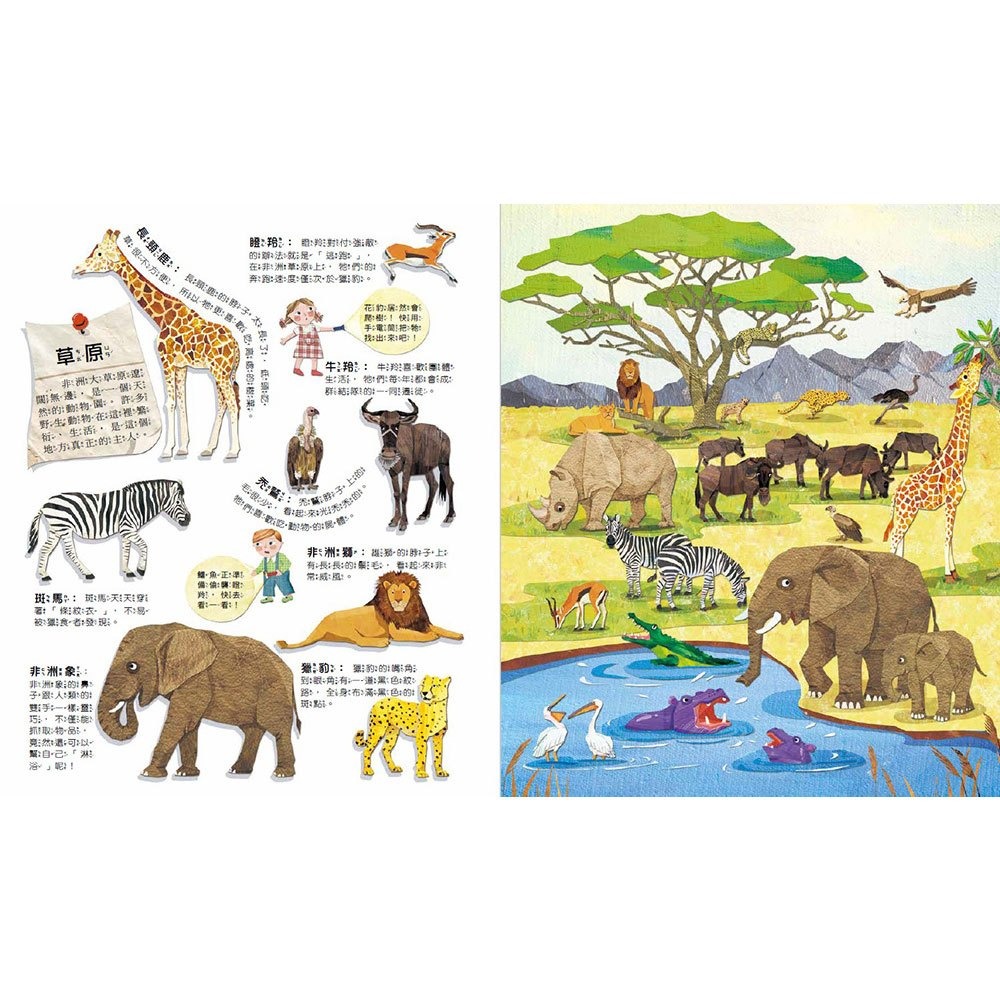 📚幼福文化📚Fun！神奇膠片手電筒：野生動物 9207-32 遊戲書 圖鑑書 兒童自然科學 課外讀物 觀察力 想像力-細節圖2