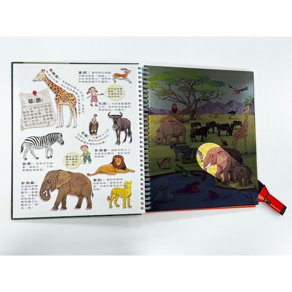 📚幼福文化📚Fun！神奇膠片手電筒：野生動物 9207-32 遊戲書 圖鑑書 兒童自然科學 課外讀物 觀察力 想像力-細節圖4