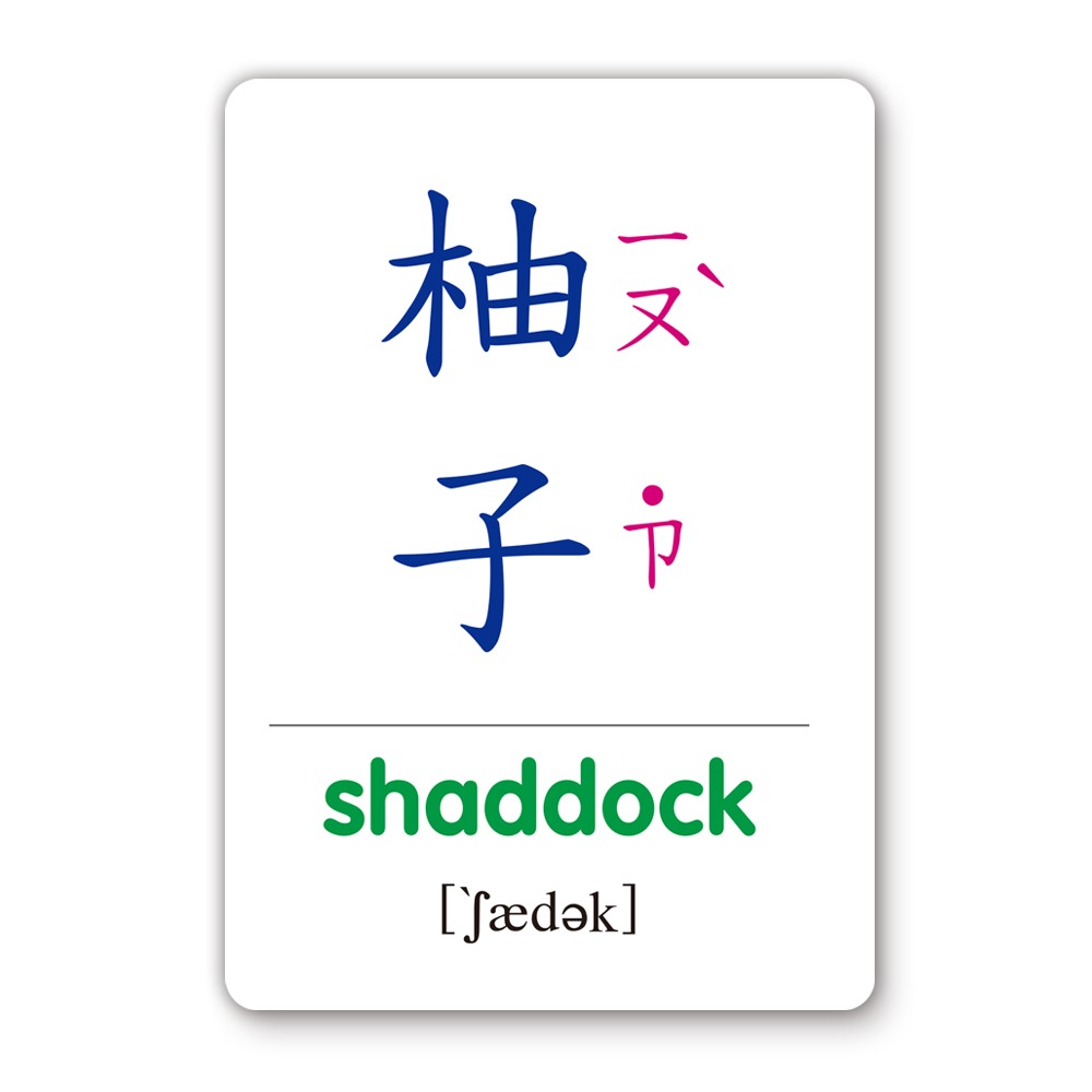 📚世一文化📚健康蔬果識字卡 B2769-2 認識蔬菜水果 圖卡 字卡 幼兒啟蒙 學前教育-細節圖7