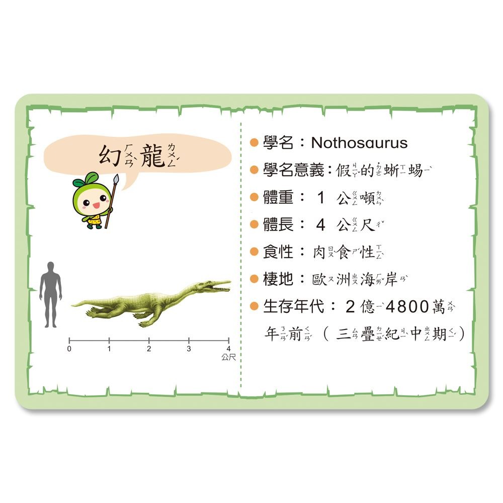 📚世一文化📚認識恐龍圖鑑卡 B27701 恐龍圖卡 字卡 恐龍百科 恐龍圖片-細節圖3