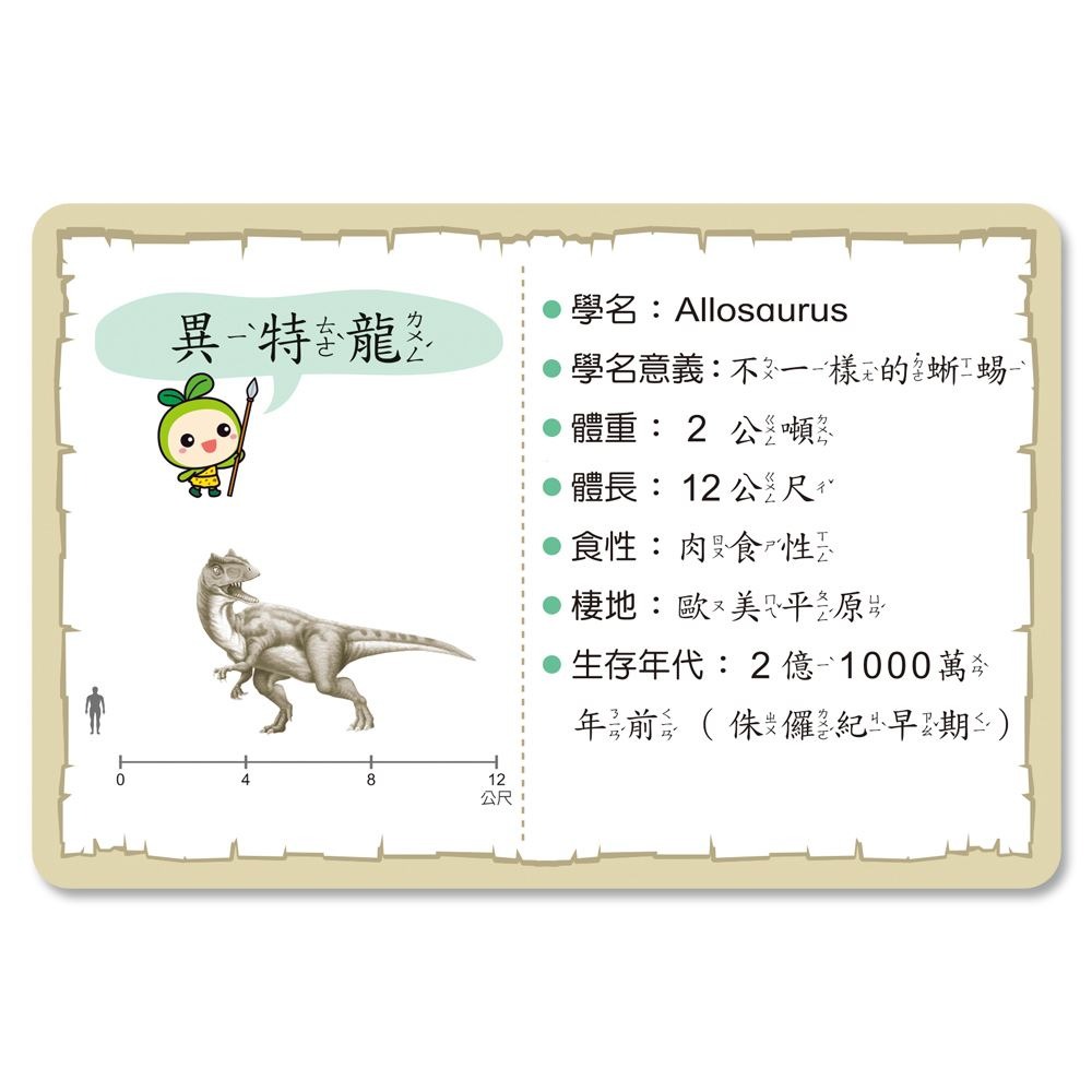 📚世一文化📚認識恐龍圖鑑卡 B27701 恐龍圖卡 字卡 恐龍百科 恐龍圖片-細節圖5
