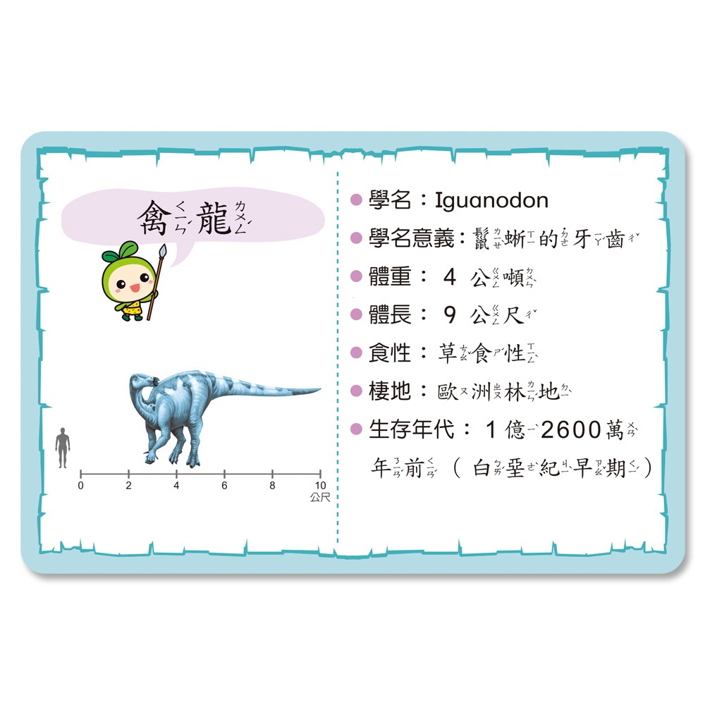 📚世一文化📚認識恐龍圖鑑卡 B27701 恐龍圖卡 字卡 恐龍百科 恐龍圖片-細節圖7