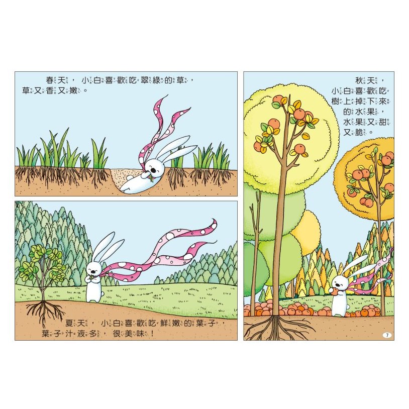 📚京采文教📚兔子小白益智遊戲繪本 小白的77個房間/小白想辦法/小白的農場/小白小村大變身/小白和樹木 問題解決繪本-細節圖8