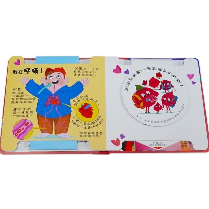 📚京采文教📚抽拉百變翻翻書:動物大驚奇/神秘的恐龍/身體的祕密/宇宙探險家 厚紙書 遊戲書 拉拉書 可操作認知啟蒙-細節圖8