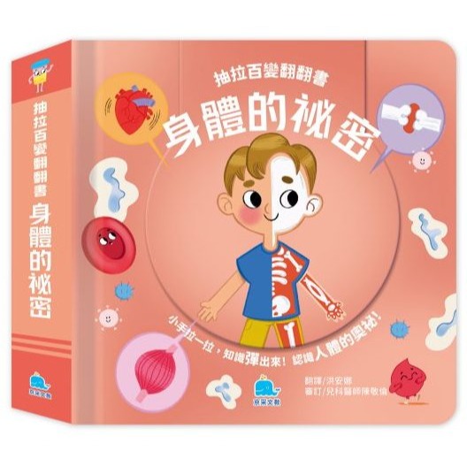 📚京采文教📚抽拉百變翻翻書:動物大驚奇/神秘的恐龍/身體的祕密/宇宙探險家 厚紙書 遊戲書 拉拉書 可操作認知啟蒙-規格圖9