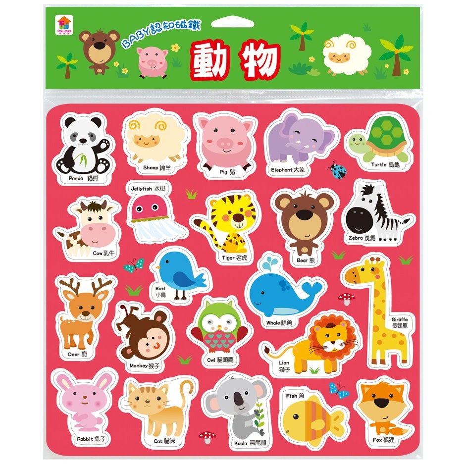 📚双美文創📚BABY認知磁鐵 軟磁鐵 學習磁鐵 ABC ㄅㄆㄇ 123 交通工具 動物 蔬菜水果 注音英文字母數字-規格圖8