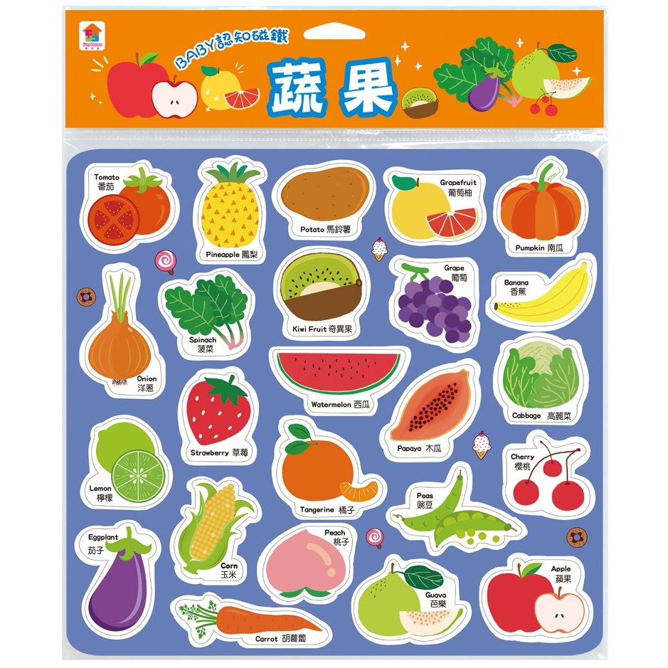 📚双美文創📚BABY認知磁鐵 軟磁鐵 學習磁鐵 ABC ㄅㄆㄇ 123 交通工具 動物 蔬菜水果 注音英文字母數字-規格圖8