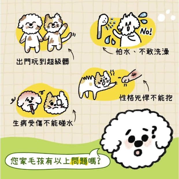 黃黃寵物館  毛乾爽 / 寵物免洗手套濕巾 寵物清潔手套 免沖洗 寵物濕紙巾 寵物濕巾 寵物免洗手套 下雨天遛狗的救星-細節圖3