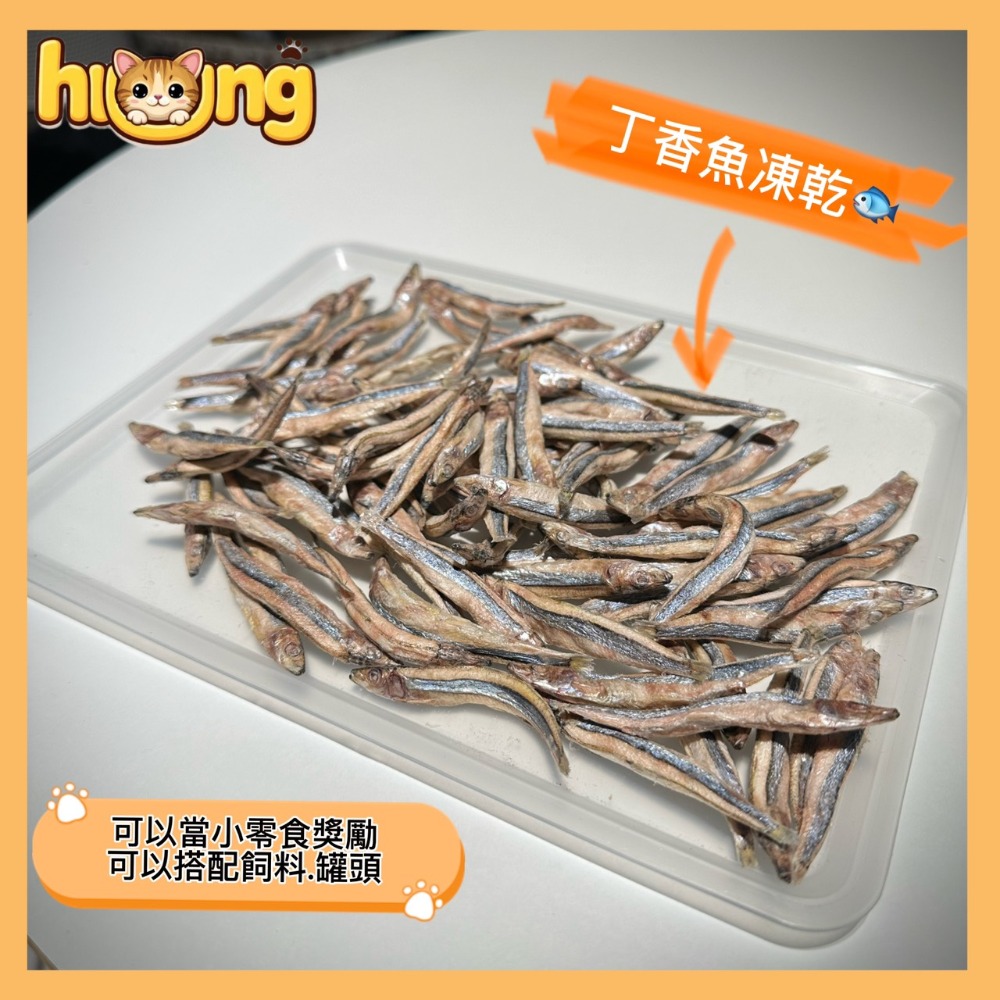 黃黃寵物館 丁香魚凍乾 寵物零食·寵物凍乾·100%純肉無添加物·貓狗零食.原肉凍乾.真材實料.毛小孩的最愛.挑食x-規格圖1
