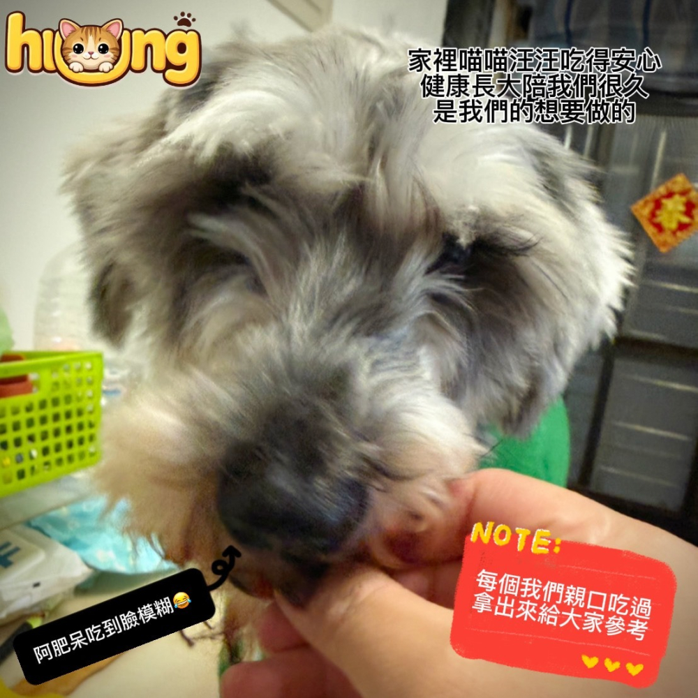 黃黃寵物館 雞心凍乾 寵物零食·寵物凍乾·100%純肉無添加物·貓狗零食.原肉凍乾.真材實料.毛小孩的最愛.挑食x-細節圖3