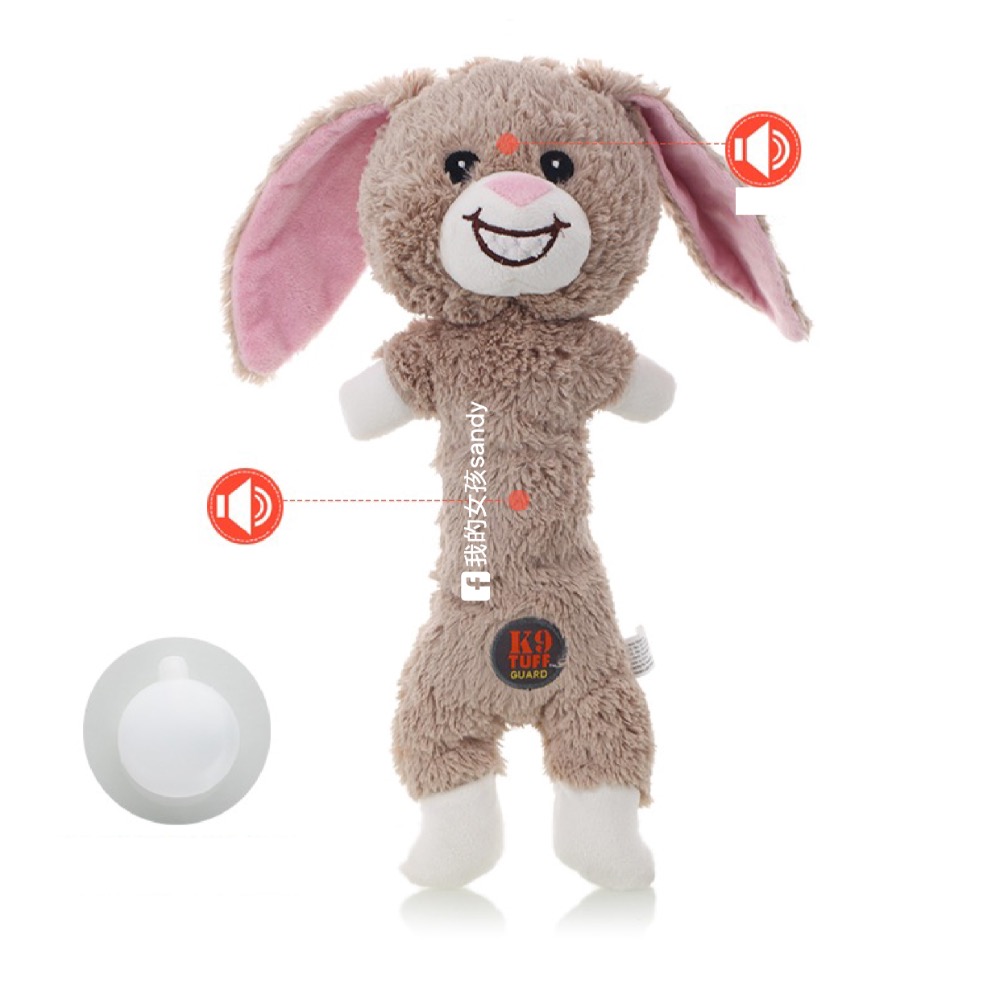 🐕‍🦺美國 Charming Pet k9 / Link Tuff 不 耐咬玩具 狗玩具 寵物玩具 互動玩具-細節圖5