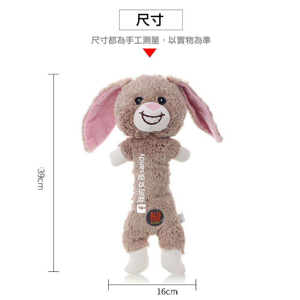 🐕‍🦺美國 Charming Pet k9 / Link Tuff 不 耐咬玩具 狗玩具 寵物玩具 互動玩具-細節圖6
