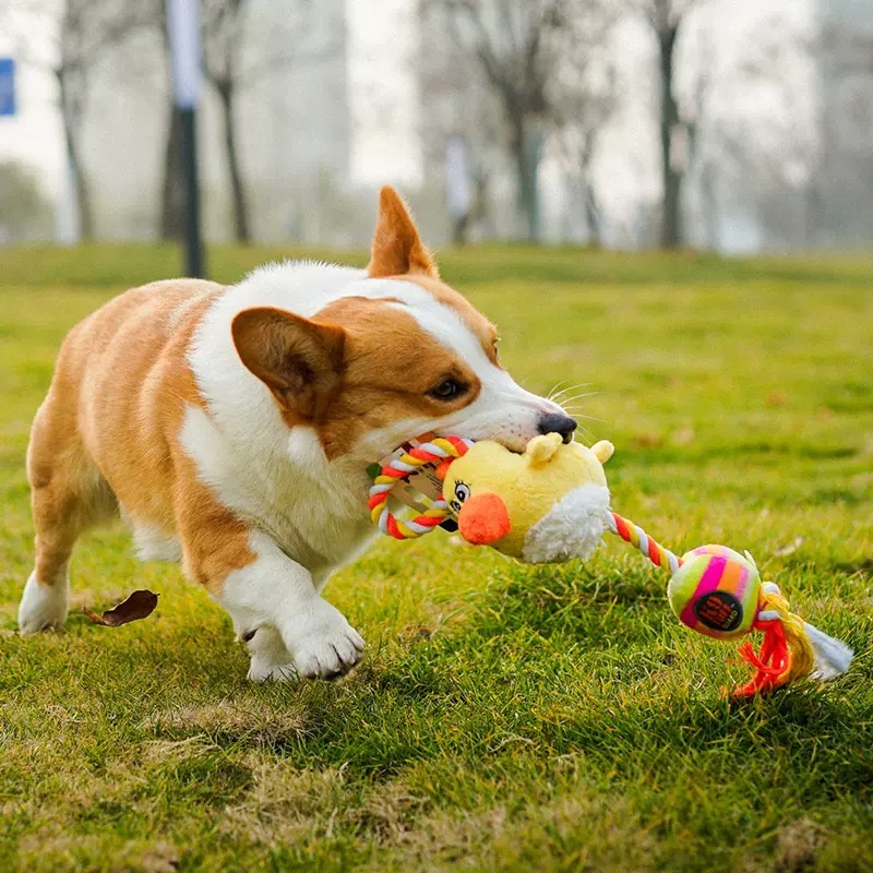 🐕‍🦺美國 Charming Pet k9 / Link Tuff 不 耐咬玩具 狗玩具 寵物玩具 互動玩具-細節圖2