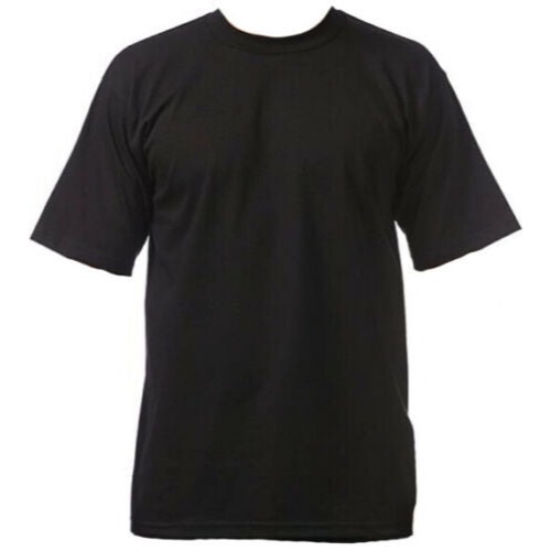 🐕‍🦺 現貨 美國 小領口T恤 220克 PRO WEST   T-Shirt-細節圖3