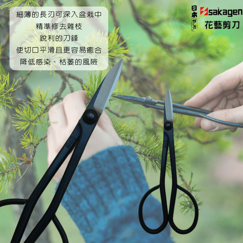 日本坂源盆栽小枝切鋏剪刀-細節圖3