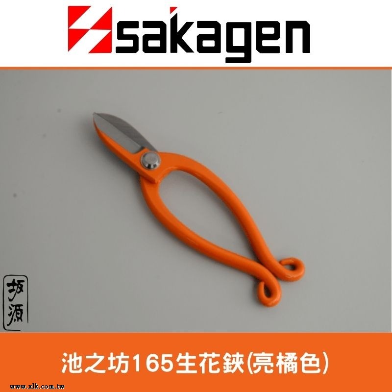 日本sakagen坂源花藝剪刀手創165系列生花鋏(白色/黃色/橘色)池之坊-細節圖2