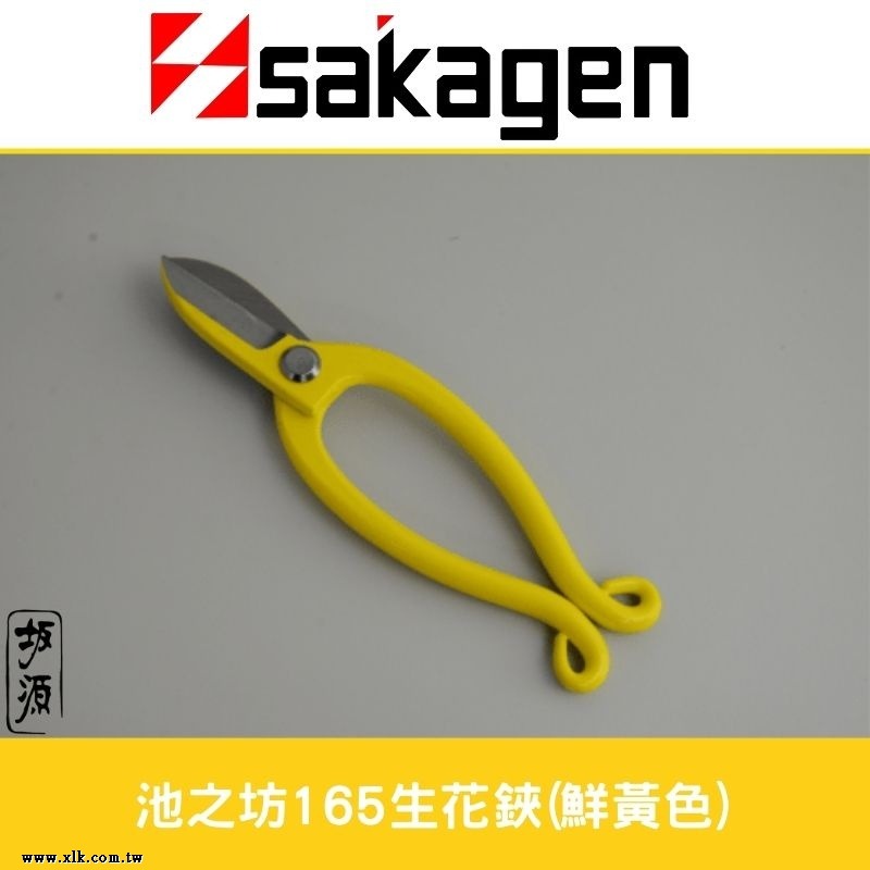 日本sakagen坂源花藝剪刀手創165系列生花鋏(白色/黃色/橘色)池之坊-細節圖3