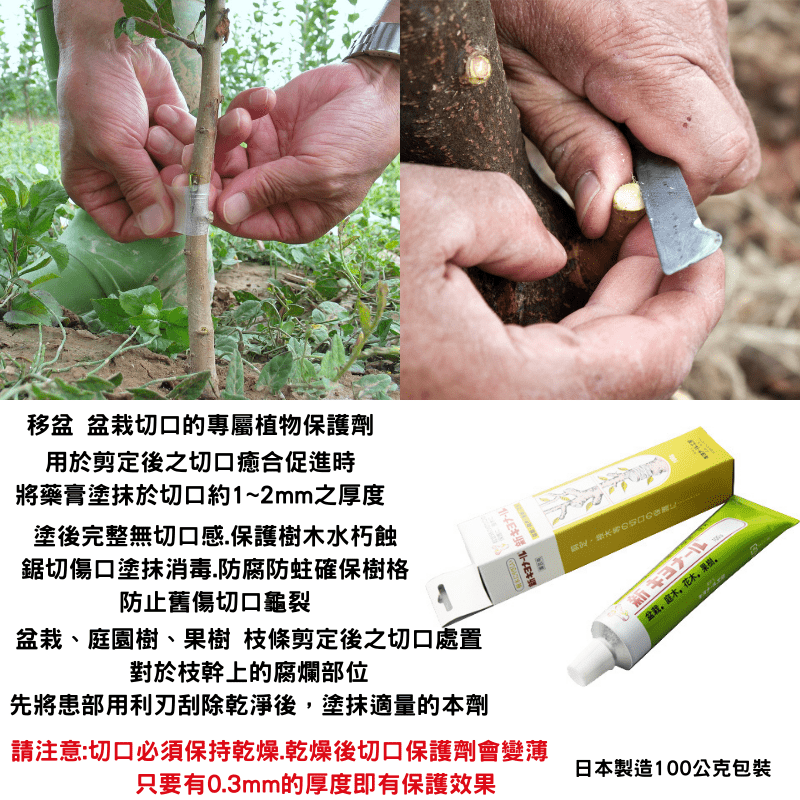 日本製造新キヨナール 植物傷口保護癒合劑100g(非切口保)5條裝組合-細節圖2