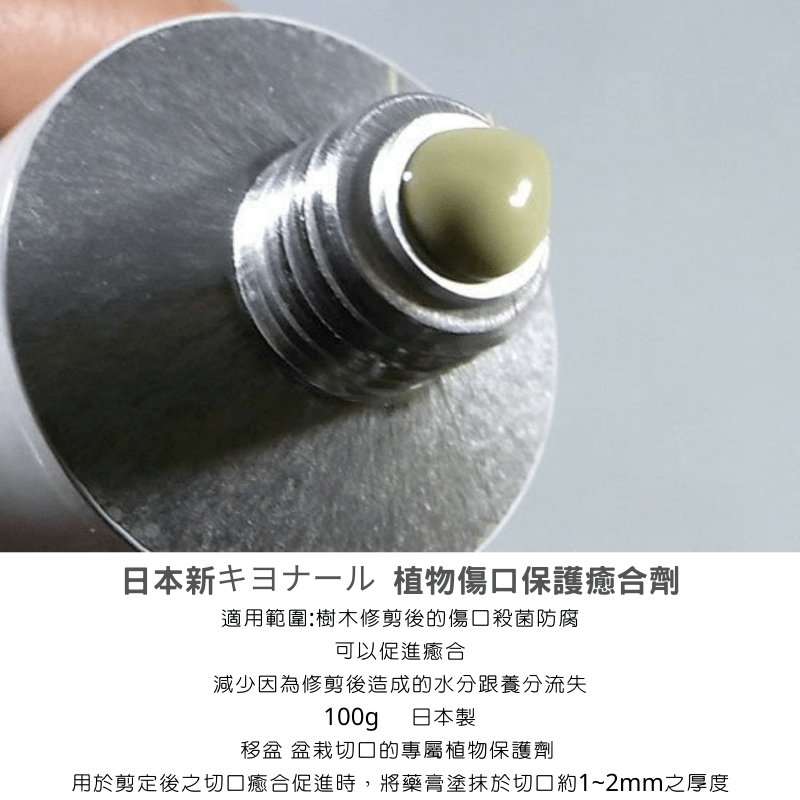 日本製造新キヨナール 植物傷口保護癒合劑100g(非切口保)5條裝組合-細節圖3