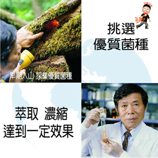 康建 牛樟芝子實體 滴丸 微粒 牛樟芝 高倍萃取濃縮  舌下溶解吸收 賴敏男 博士 樟芝之父-細節圖6