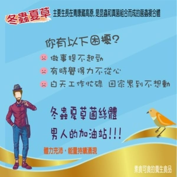 康建冬蟲夏草菌絲體 中華被毛孢 60顆一盒-細節圖4