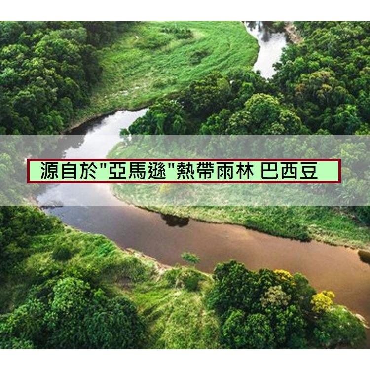 原味巴西堅果 低溫烘培素燒 巴西豆 巴西堅果 低溫烘焙  蘊含獨特營養的超級堅果 含豐富硒元素-細節圖4