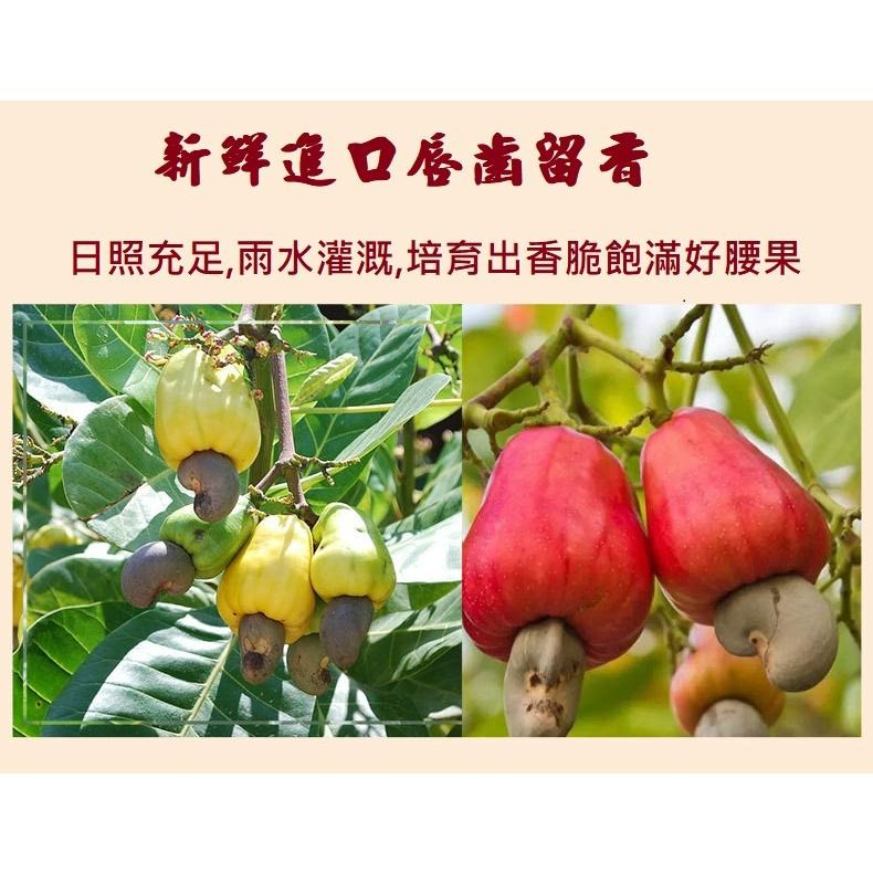 原味腰果 低溫烘焙腰果 腰果片 帶膜腰果 熟腰果片 無油無鹽等添加 頂級大粒頭 素食-細節圖2