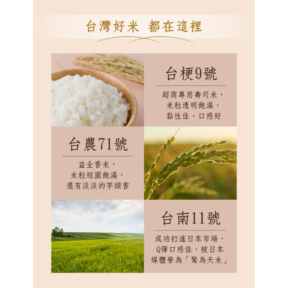 米大師 稻香白飯 白飯 常溫米飯  即食飯 180g-細節圖5