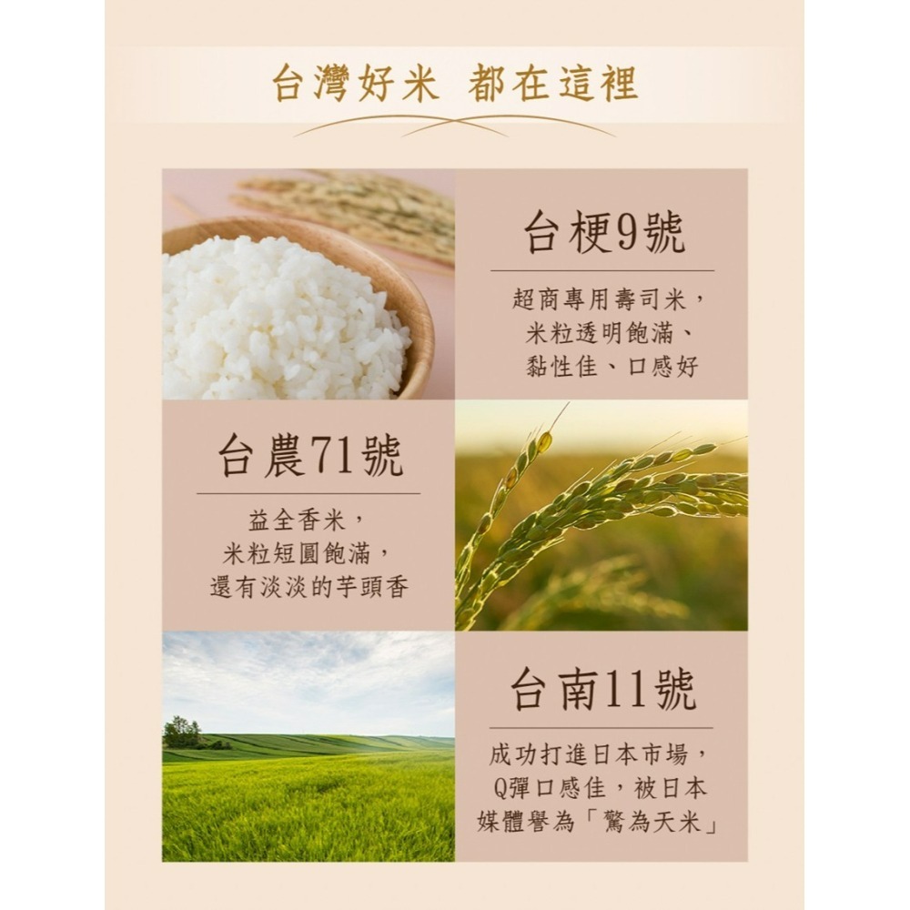 米大師 稻香白飯 白飯 常溫米飯  即食飯 180g-細節圖5