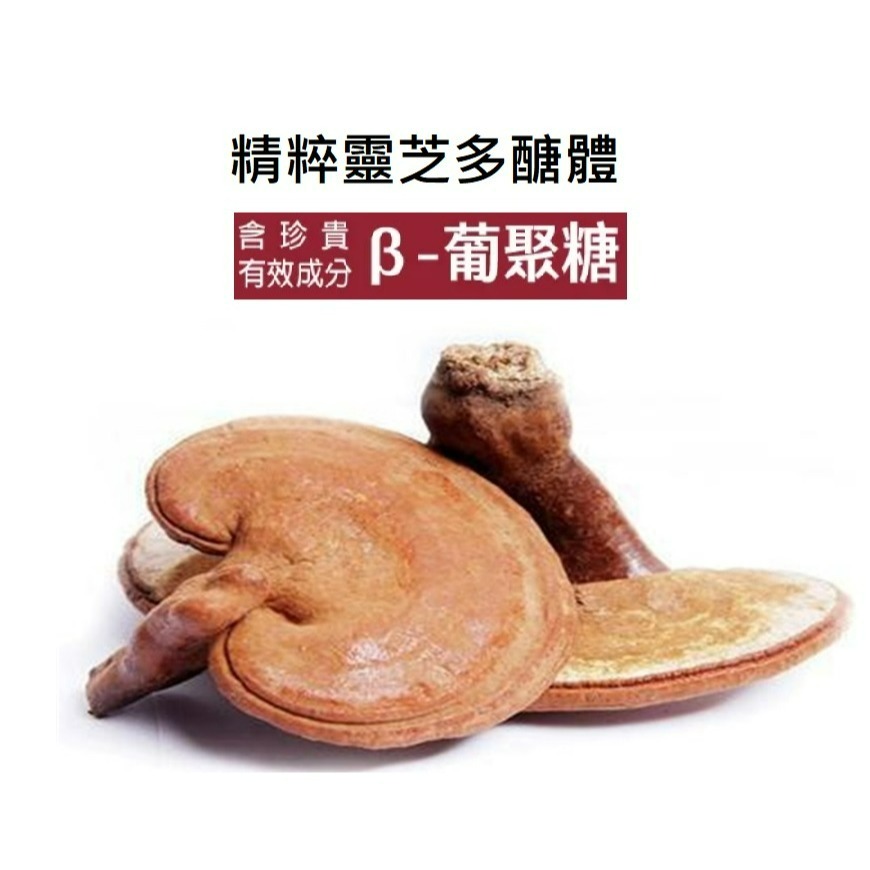 極品靈芝複方60粒錠 高CP值 10倍濃縮 嚴選 靈芝 子實體 多醣體高  瓶裝出貨省成本-細節圖4
